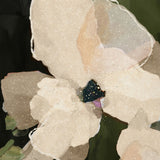 "Monteverde" - Landscape