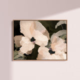 "Monteverde" - Landscape