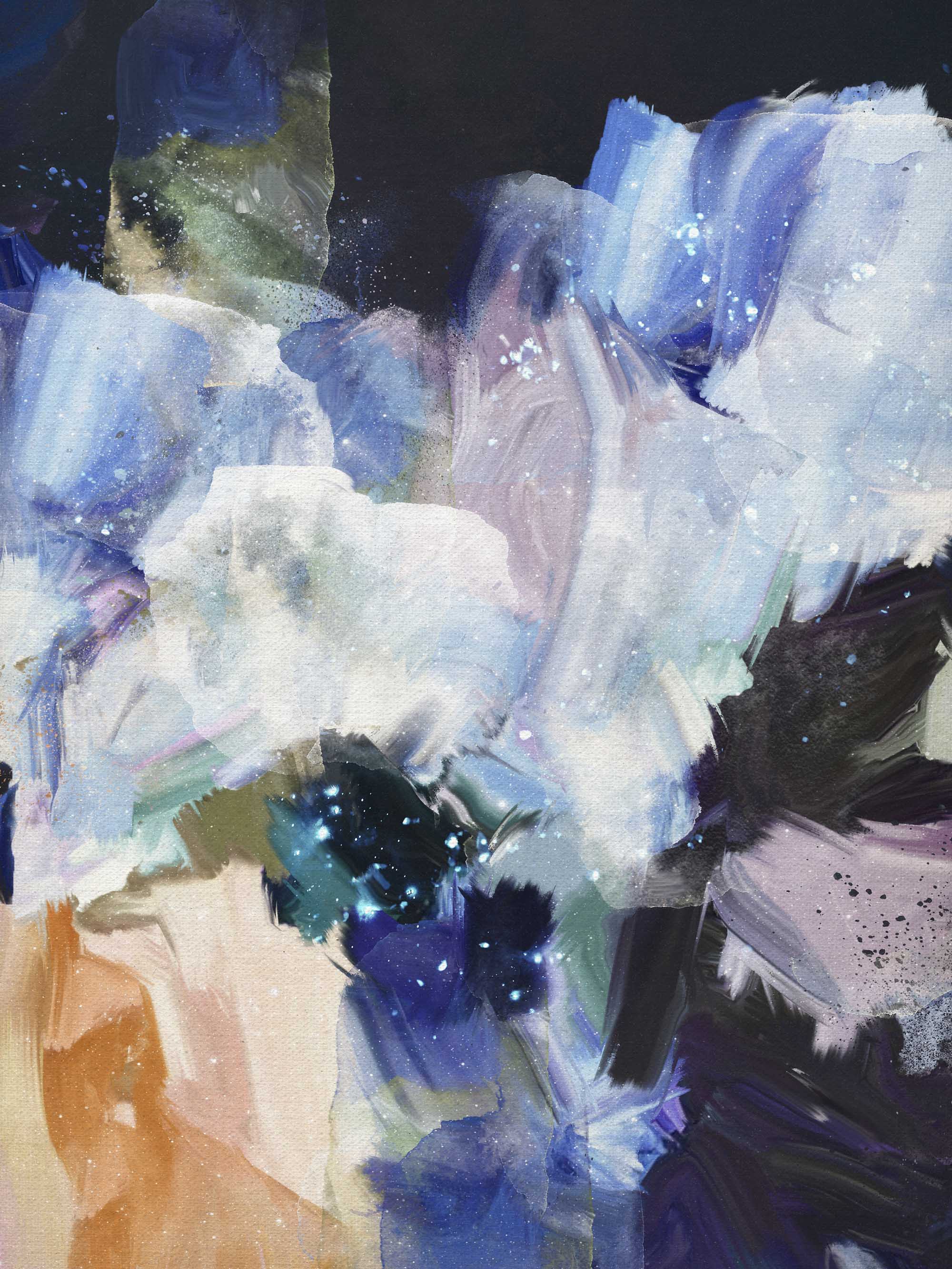 "Nightflower VI" Fine Art Print Canvas Wall Art Corinne Melanie