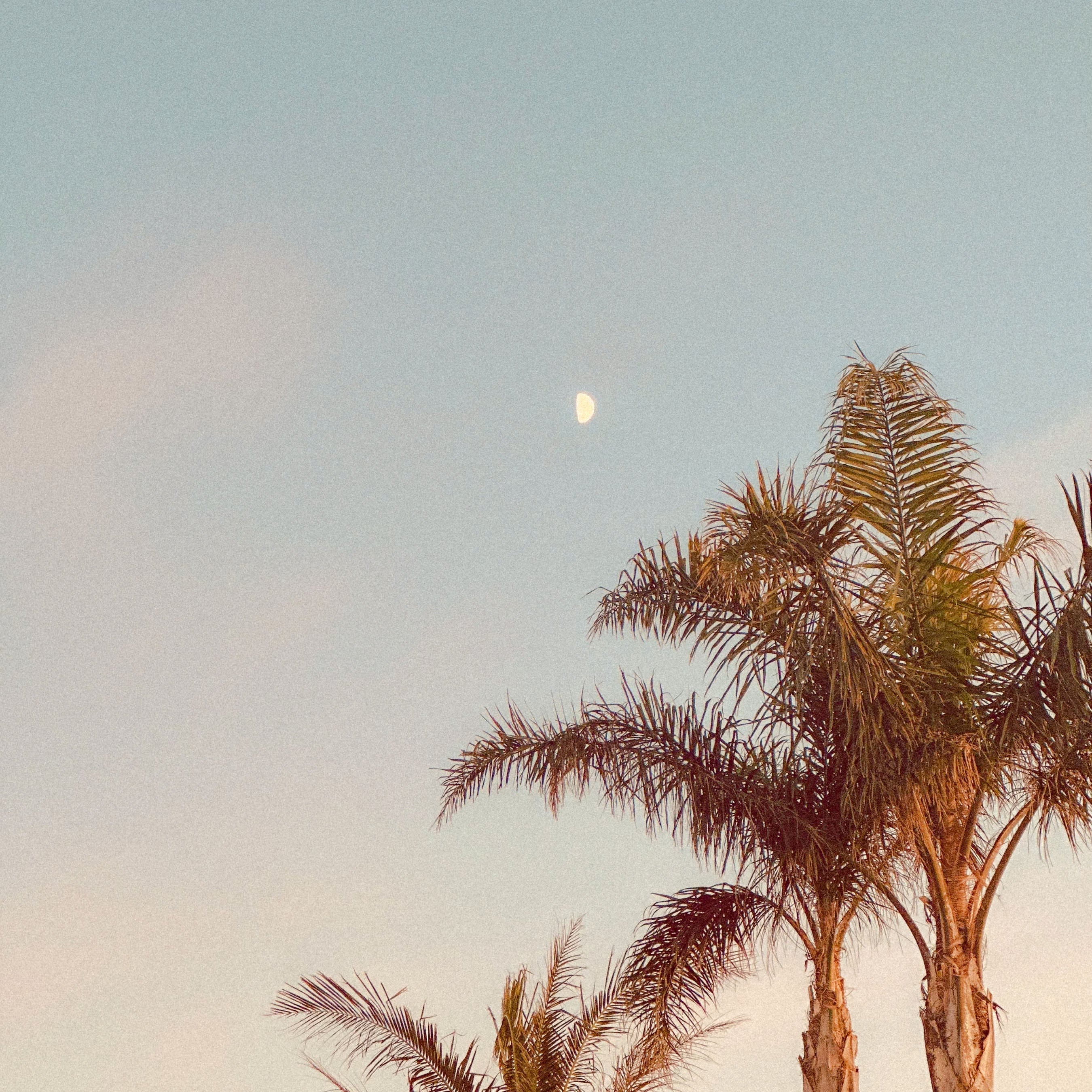 Creating While Life is in Motion