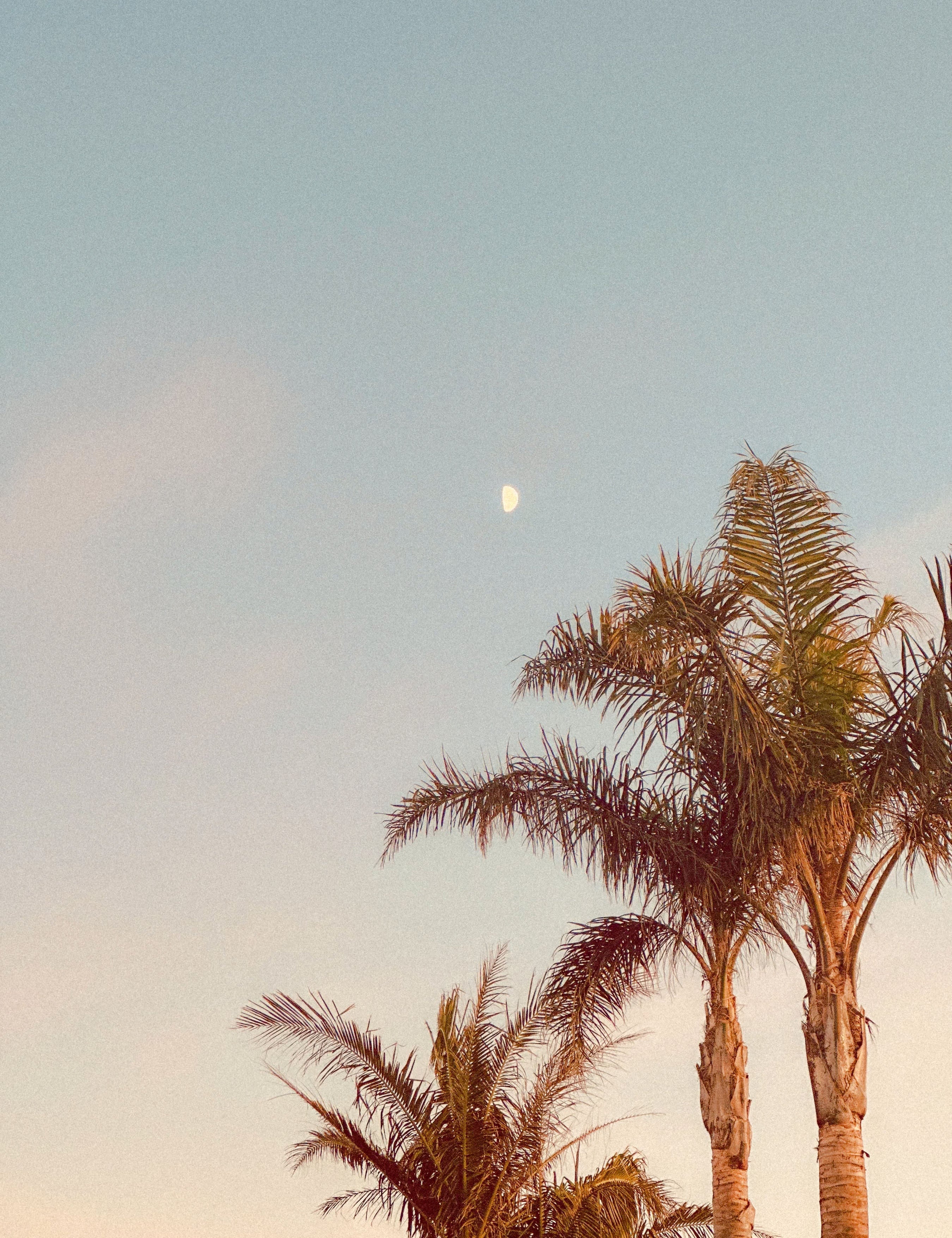 Creating While Life is in Motion