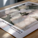 'Palm Cove - Pacifica Bloom' Gallery Collectible (02.26)