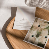 "Isle of Capri" Fine Art Greeting Cards (Pack of 10)