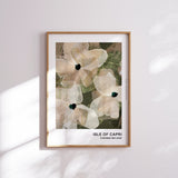 Free Gift - 'Isle of Capri' Limited Edition Artwork (A3 Size)