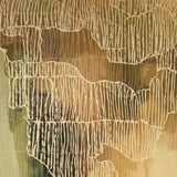 "Kakadu Light" - Portrait II