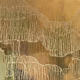 "Kakadu Light" - Portrait II
