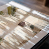 Free Gift - 'Magnetic Island II' Framed Limited Edition Artwork