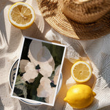 "Monteverde" Fine Art Greeting Cards (Pack of 10)