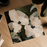 "Monteverde" Paper Print - Square