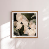 "Monteverde" Paper Print - Square