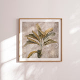 "Noosa Heads" (Earth No. 13) Paper Print - Square