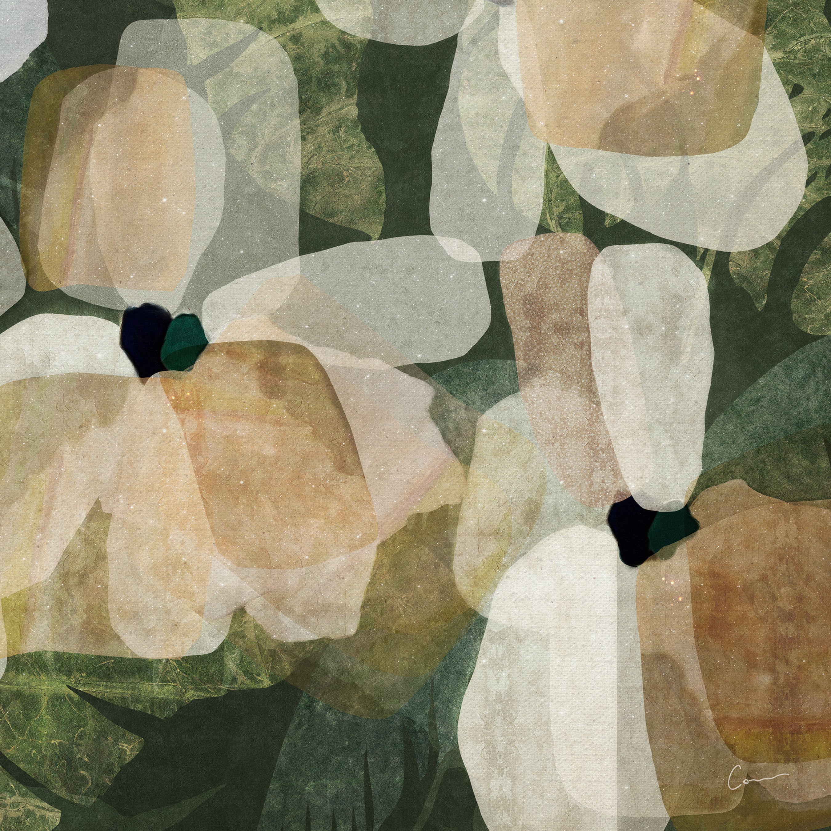"Montego" - (Paridiso No. 1) - Square II
