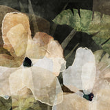 "Havana Sol" - (Paradiso No. 3) - Portrait