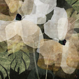 "Havana Sol" - (Paradiso No. 3) - Portrait