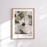 'Palm Cove - Pacifica Bloom' Gallery Collectible (02.26)