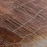 "Kalbarri Ember" - Landscape
